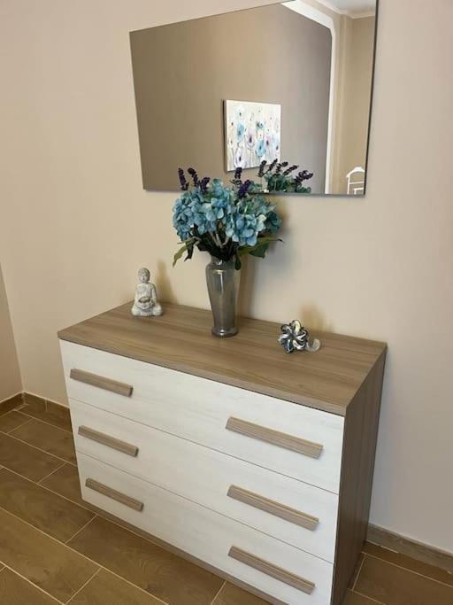 Attico Briccarello -intero Appartamento- Elegant With Free Wifi Near Inalpi Arena And Sporting Club Torino-olimpyc Stadium Apartamento *